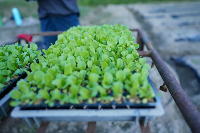 1.全国7拠点での生産体制